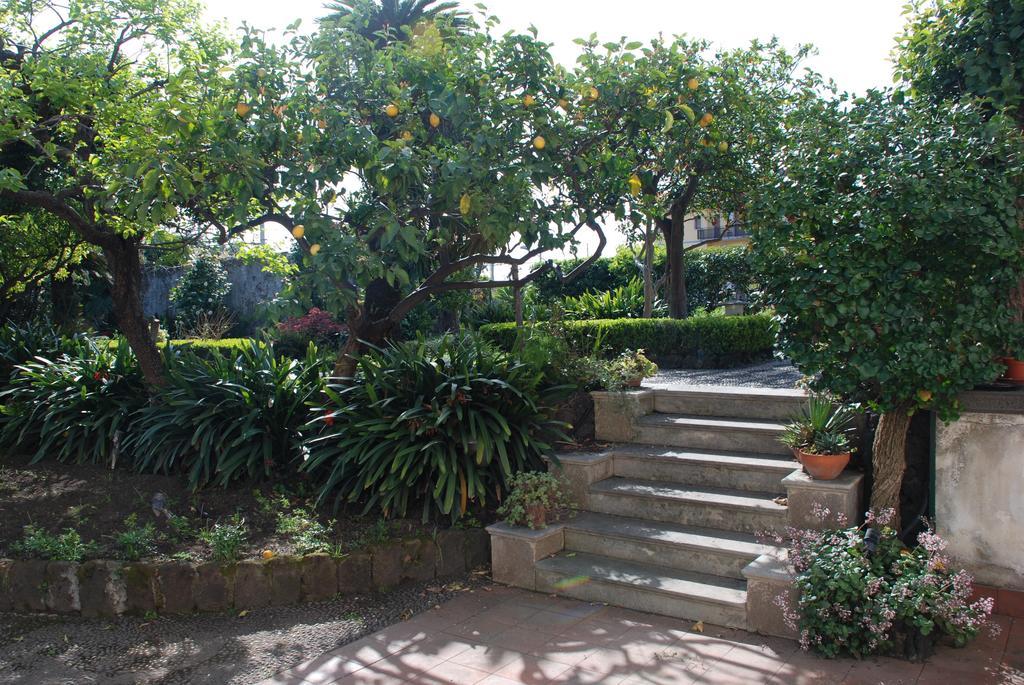 B&B Villa Maria Giarre Szoba fotó