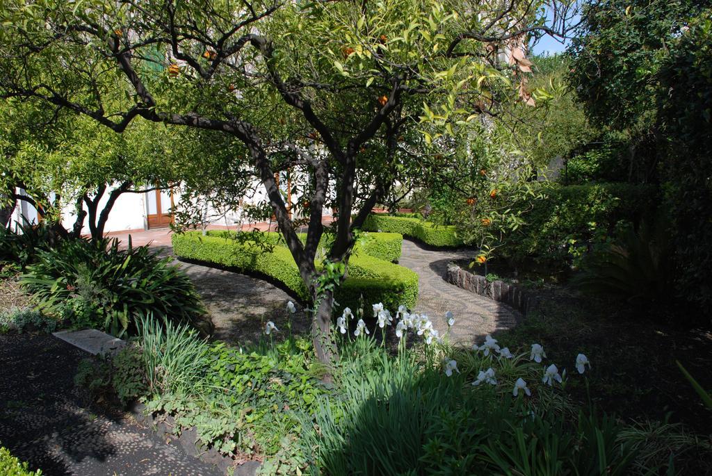 B&B Villa Maria Giarre Szoba fotó